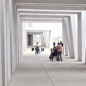 48016536137_3a56e33d49_k