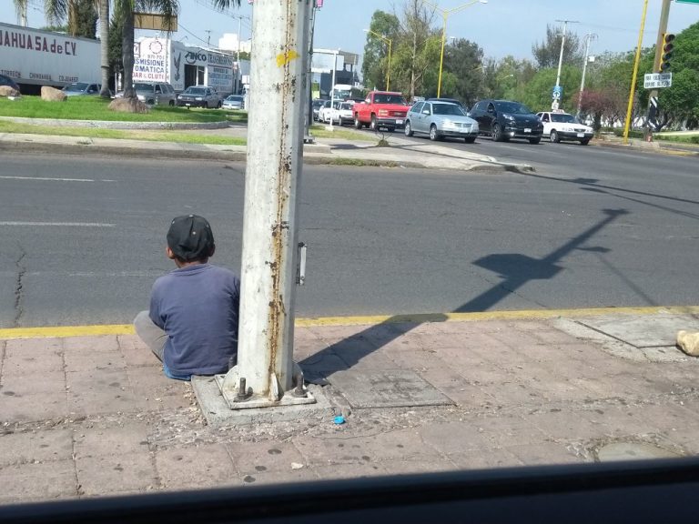 Preocupa el trabajo infantil en el sector agrícola, es donde hay mayor presencia