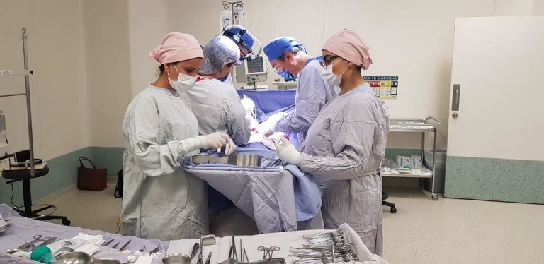 Realiza Issste más de 100 transplantes durante la pandemia