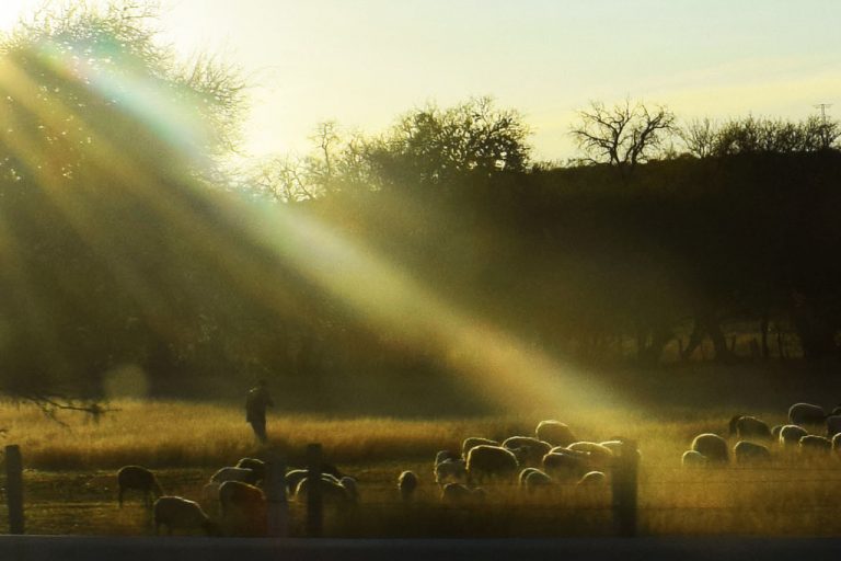 Pequeños productores no han podido acceder a programas estatales: CIOAC