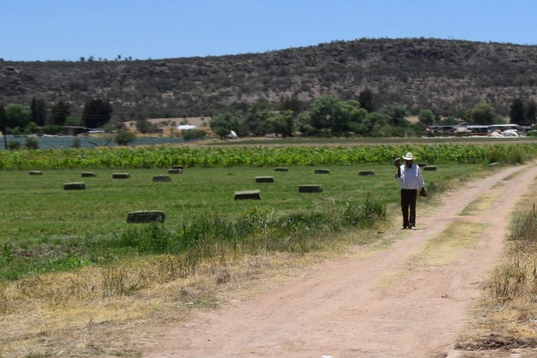 Agricultores apuestan cada vez más por la reconversión productiva
