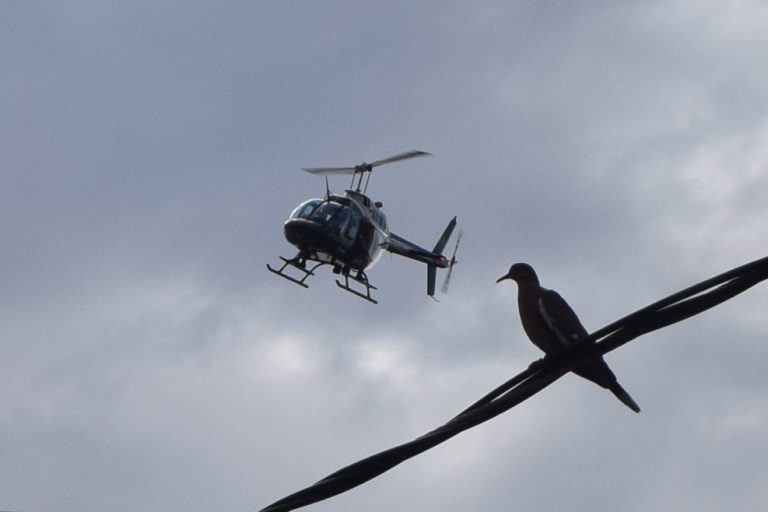 Urgente una estrategia de seguridad en coordinación con el Gobierno Federal