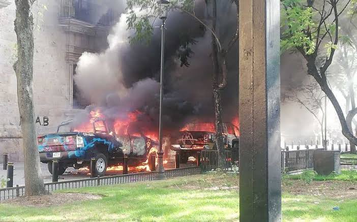 Se asoma un tigre a la “nueva normalidad”/ Bravuconadas 