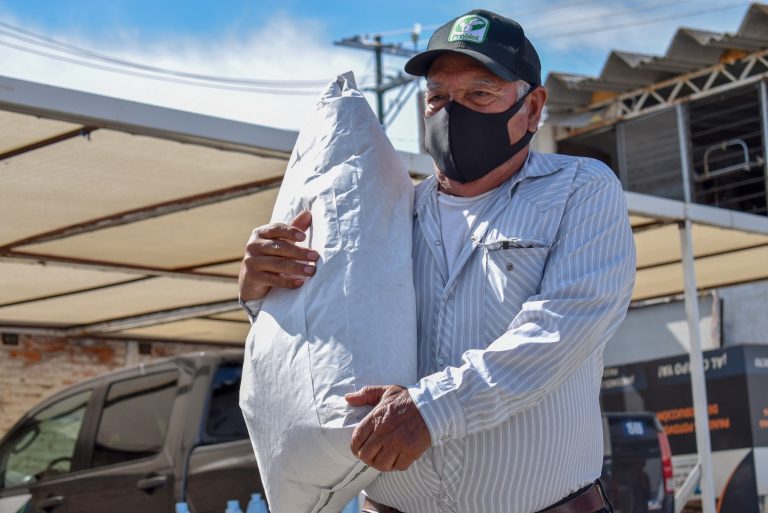 Dos mil productores de temporal recibieron semilla mejorada de maíz  en Aguascalientes 