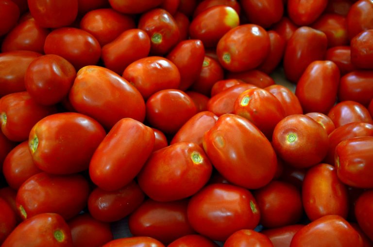 Dietas veganas y vegetarianas deben ser balanceadas para ser funcionales   