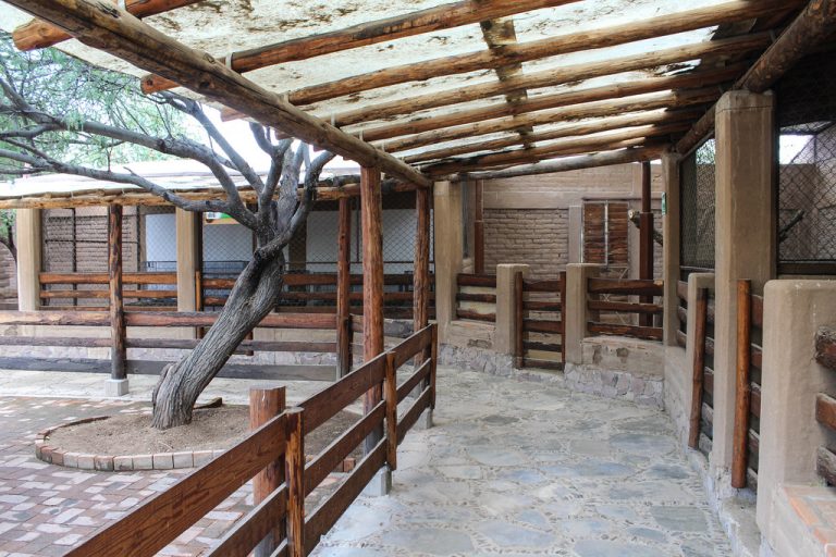 Cabañas y quintas deberán seguir el mismo protocolo de hoteles en Aguascalientes