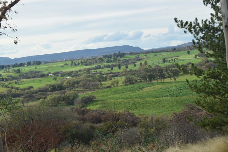 En Aguascalientes, suspenden parque El Sabinal y cuatro centros nocturnos de la zona de tolerancia