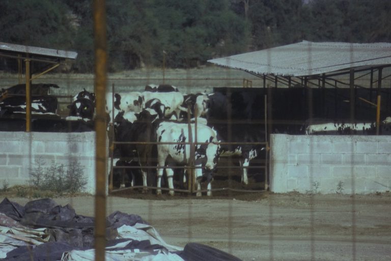 Prometedor, el T-MEC para el sector agroindustrial de Aguascalientes