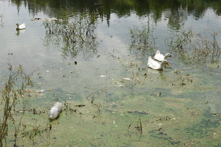 Urge reutilización de agua en Tepezalá, Aguascalientes