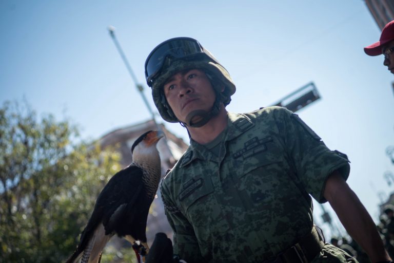 La SEDENA se rinde ante la austeridad en plena crisis de seguridad