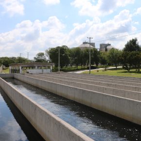 48921120673_7d3dfc02db_b