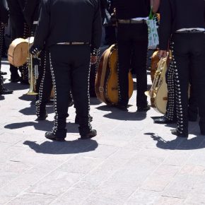 49744594166_cc26ae67e6_k