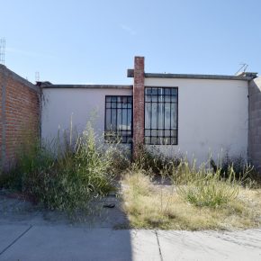 49771988902_7509b78faf_k