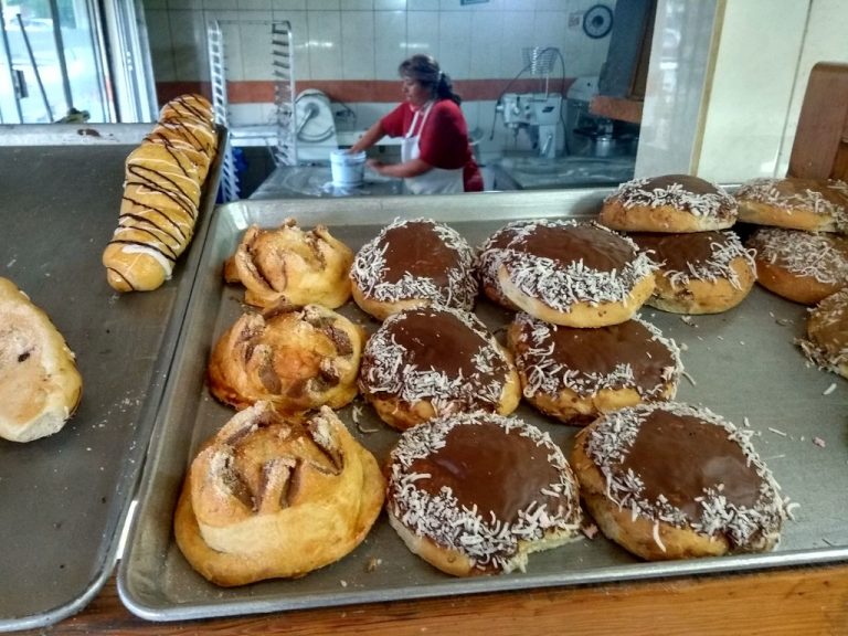 Gobernador de Aguascalientes entregó apoyos del Promipymes