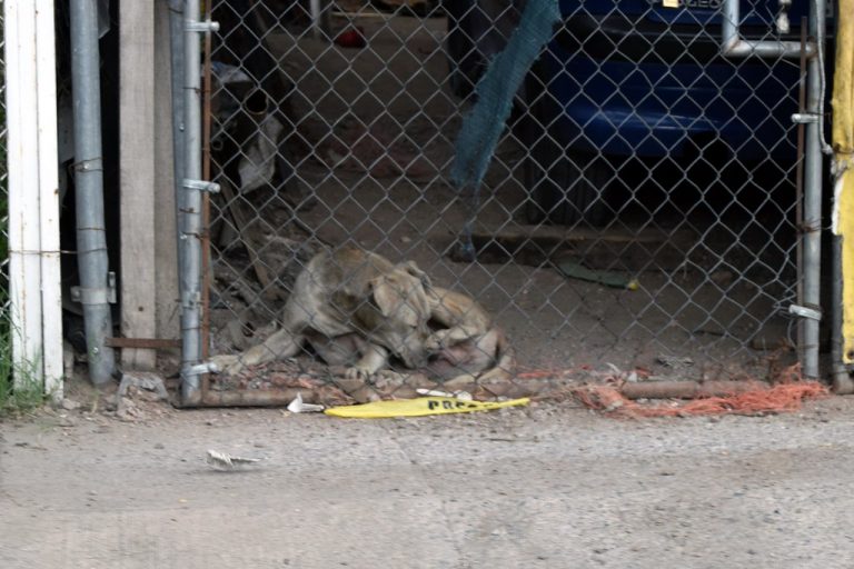 En Aguascalientes, buscan que sean sancionados agresor y servidores públicos del caso Solovino