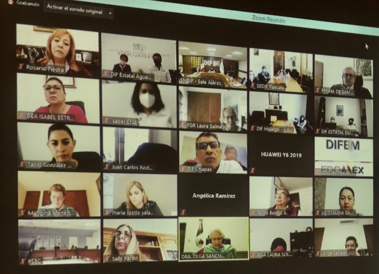 Yolanda Ramírez participa en reunión nacional virtual  desde Aguascalientes