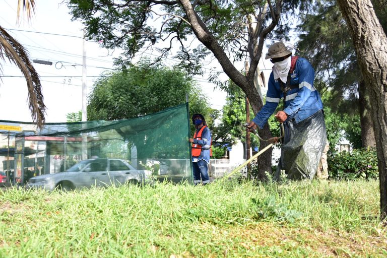 Por temporada de lluvias, intensifican mantenimiento de áreas verdes en Aguascalientes
