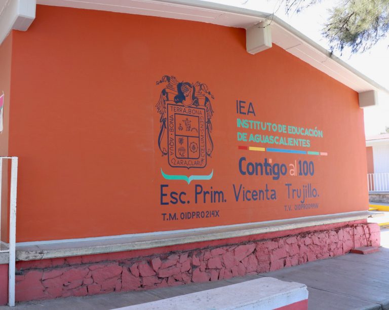 Proage se consolida en el estado: IEA