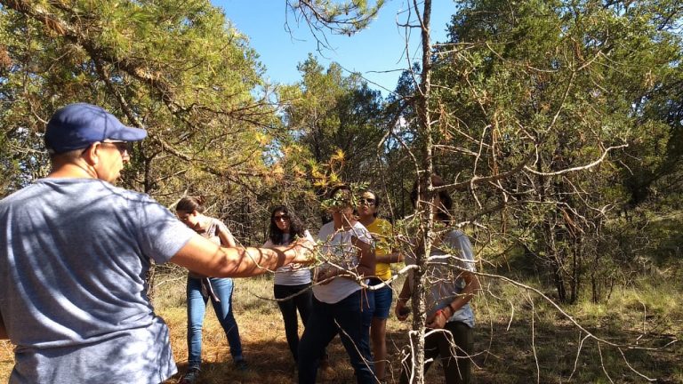 Se imparte taller responsabilidad ambiental a docentes de la UAA