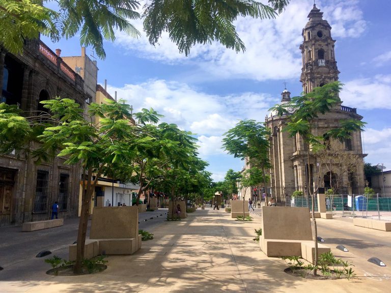 La naturaleza cambiante de la ciudad: Paseo Alcalde / Pensar el hábitat