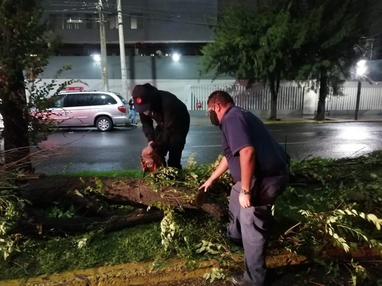 Así las lluvias del 28 de abril en Aguascalientes: hubo árboles caídos y coches varados