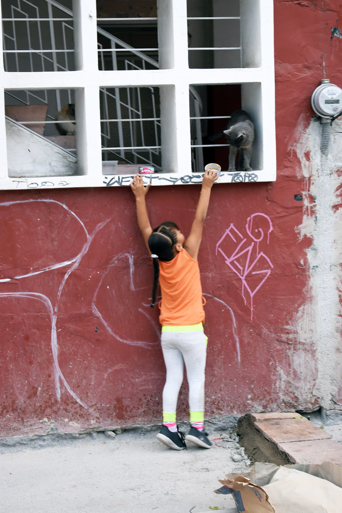 Es necesario legislar en Aguascalientes para que delitos sexuales no prescriban