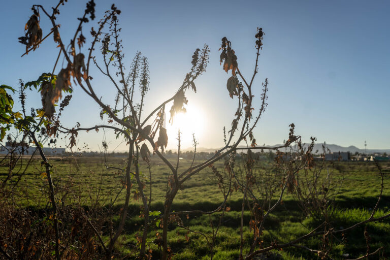 A la fecha, el municipio de Aguascalientes asignó 52 predios en comodato o donación