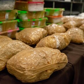 48140657843_ce47c7a3e2_k