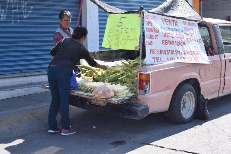 Empresarias de Aguascalientes tratarán de motivar el consumo local