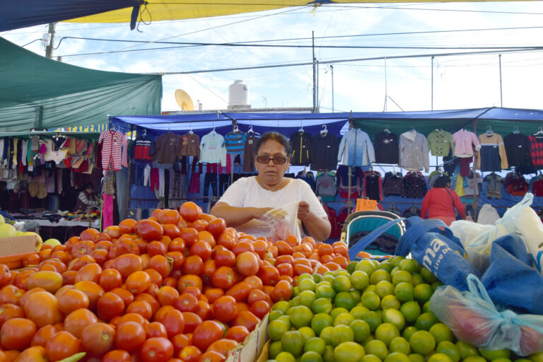 ¿El Coronavirus puede trasmitirse por alimentos? Esto es lo que dice la OMS