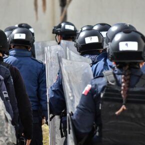 50008035726_c084e35acb_b