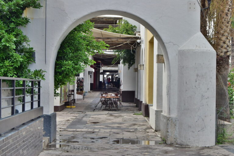 Recuperación de empresas y poder adquisitivo se realizará muy lentamente en Aguascalientes