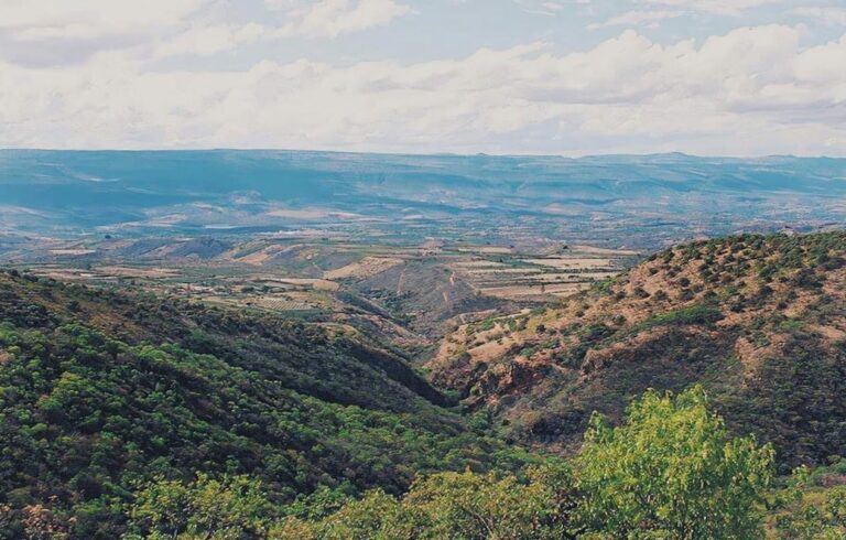 Ecoturismo responsable ayudaría a sustentabilidad de áreas protegidas