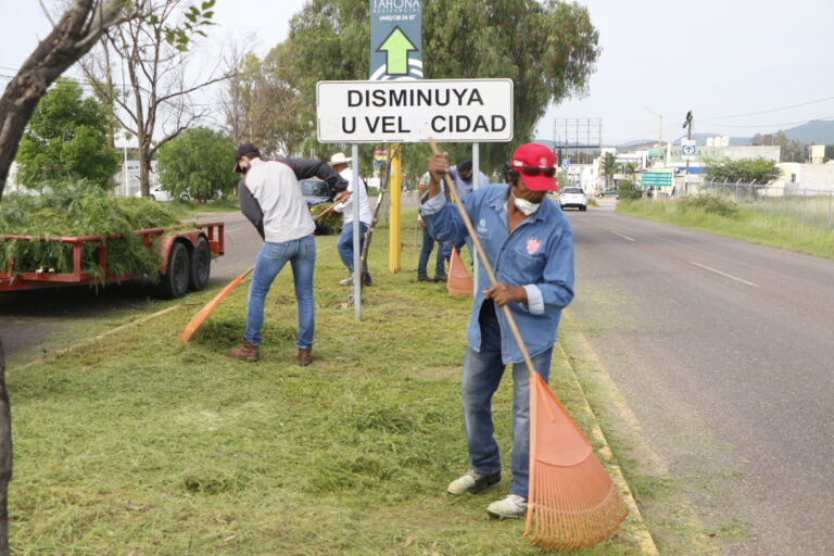 Club Necaxa Adopta un Camellón