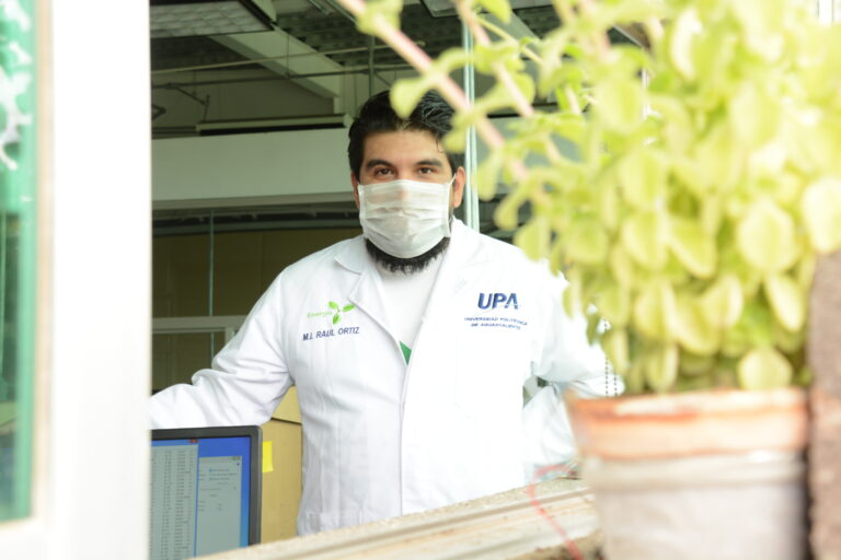 Investigadores de la UPA estudian energía que generan naturalmente las plantas