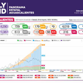 covid19 Ags 08082020