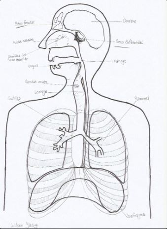 Pensar las batallas/ Por mis ovarios, bohemias 