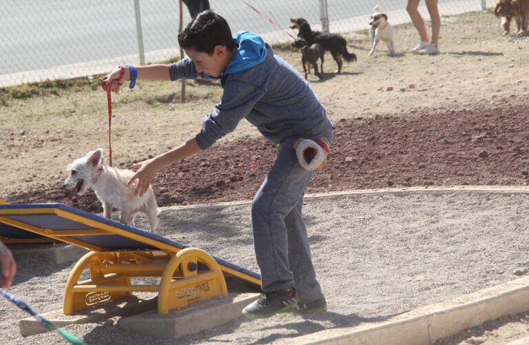 Municipio de Aguascalientes anuncia nueva campaña gratuita de esterilización canina y felina