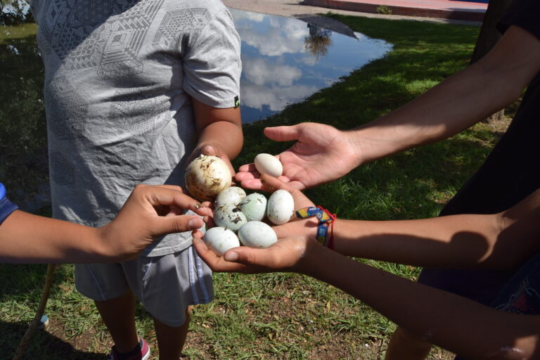 Los gobiernos municipales deben reforzar la educación ambiental 