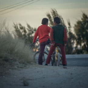 45755352035_2e55b6838b_k