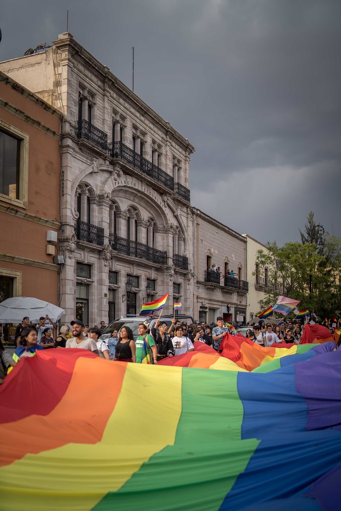 Hay errores y anomalías en el listado de las cuotas arcoíris de la elección del 2020