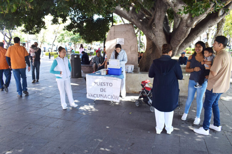 Cambiará la gestión de vacunación contra influenza estacionaria