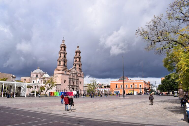Piden a los colegios de profesionistas del estado ayudar a diseñar una nueva normalidad post COVID-19