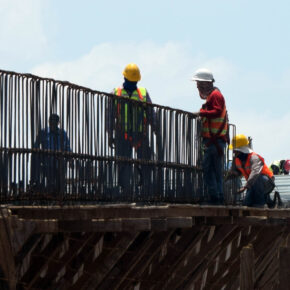 50117891117_a84bf2bab4_o