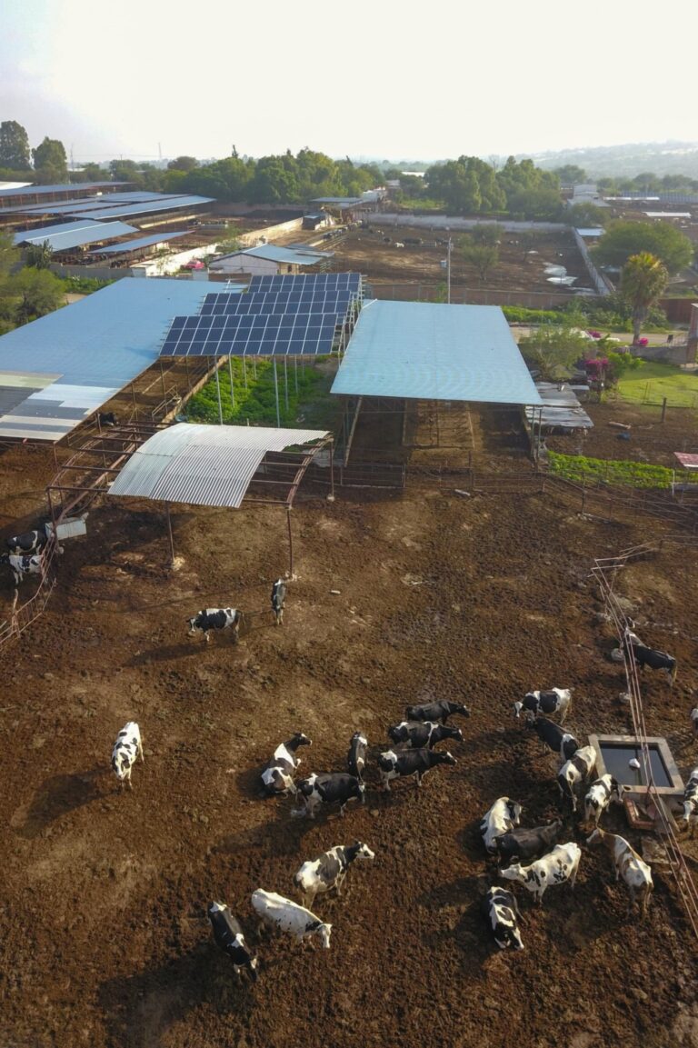 Subsidio para instalar paneles solares llegó a 240 establos del estado de Aguascalienets