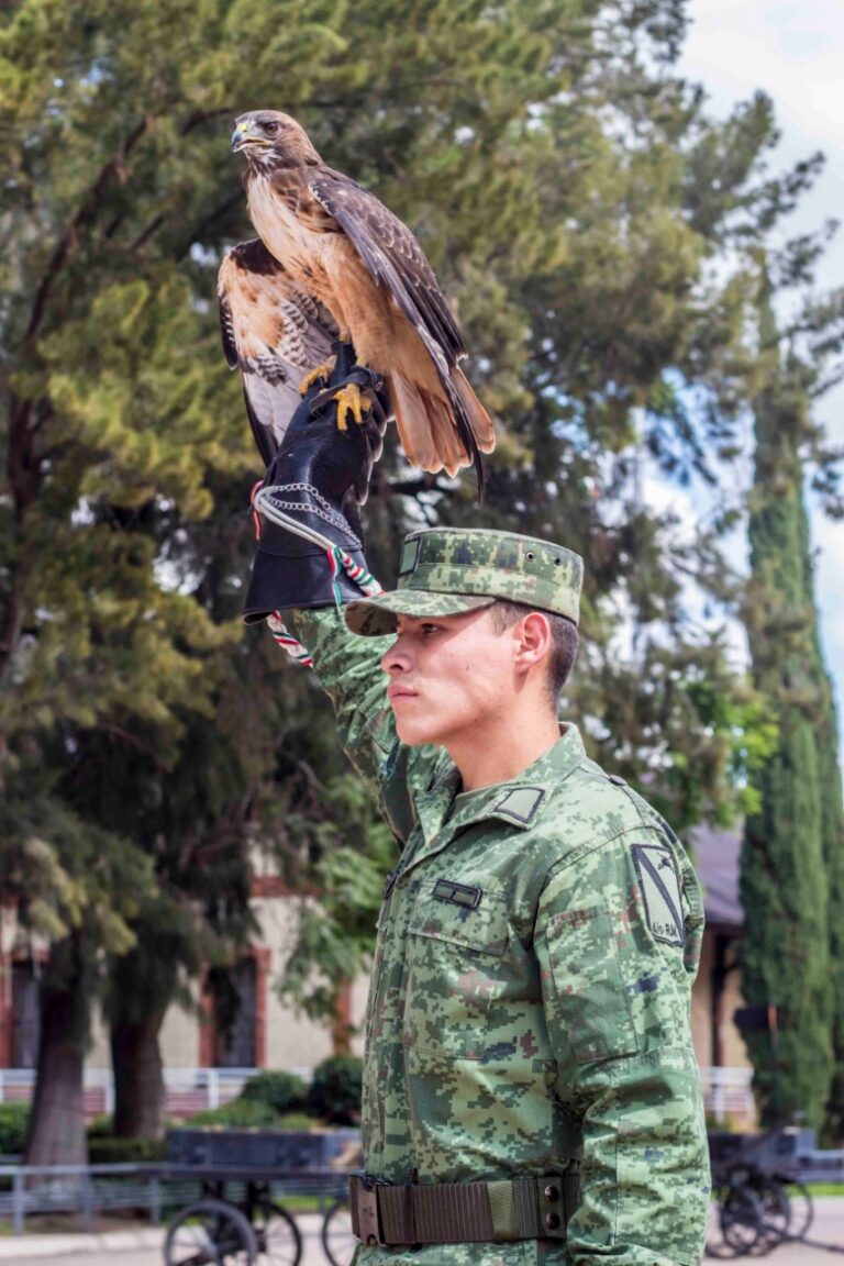 Seggob  en Aguascalientes da a conocer agenda cívica de septiembre