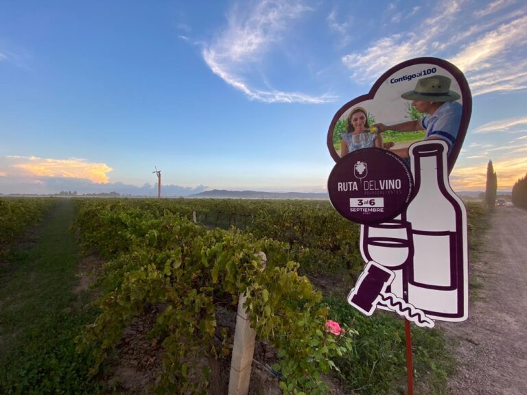 Arranca La Ruta del Vino