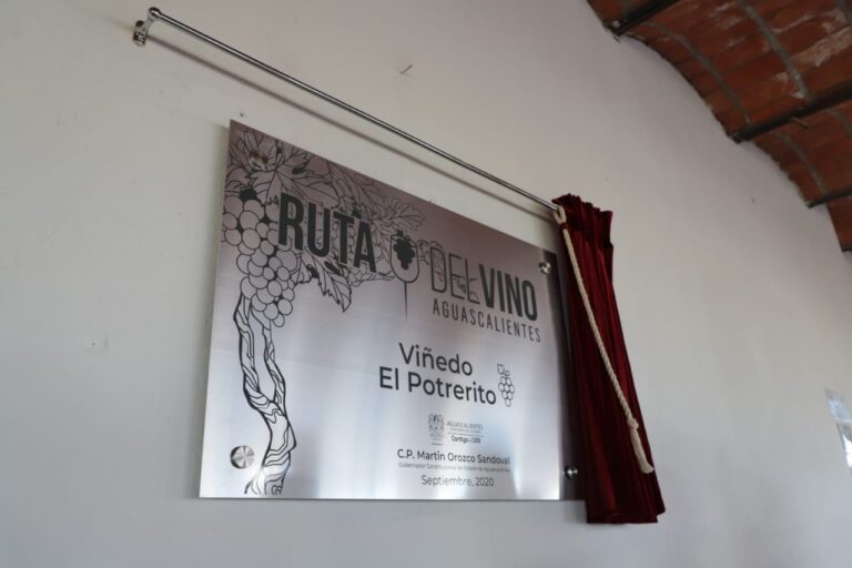 Realizan concurso de vinos en la Ruta del Vino