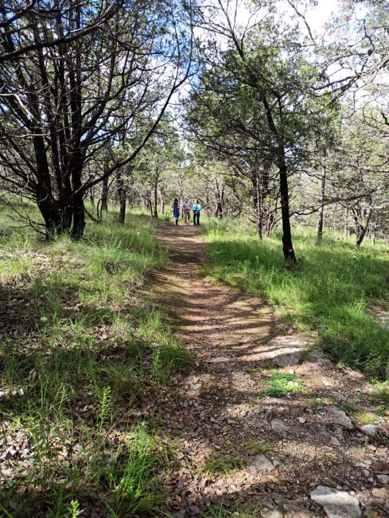 Los Alamitos, un espacio de esparcimiento y formación 