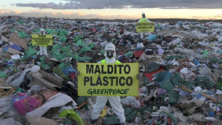 8 áreas naturales protegidas en México se encuentran contaminadas con plásticos: Greenpeace